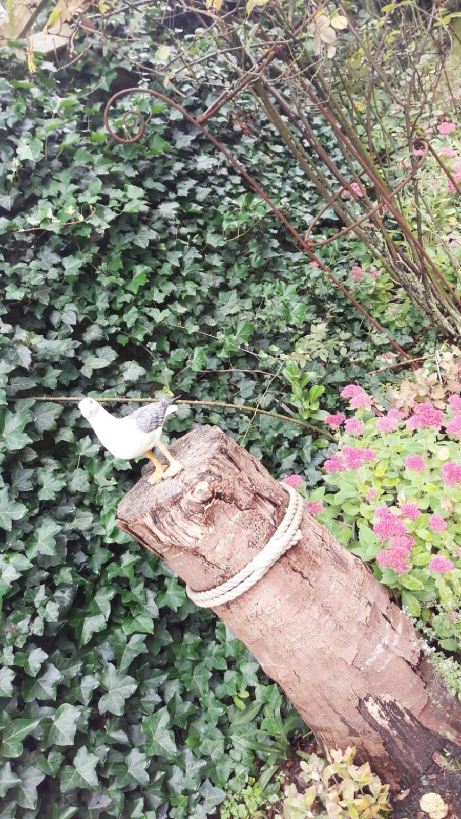 Heimathafen Villa Bordelum Kültér fotó